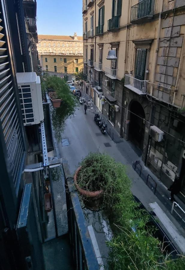 L'arnia * Neapel